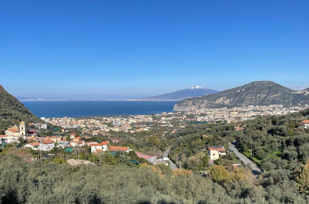 Holidays Homes The Dream Sant'Agnello Eksteriør bilde