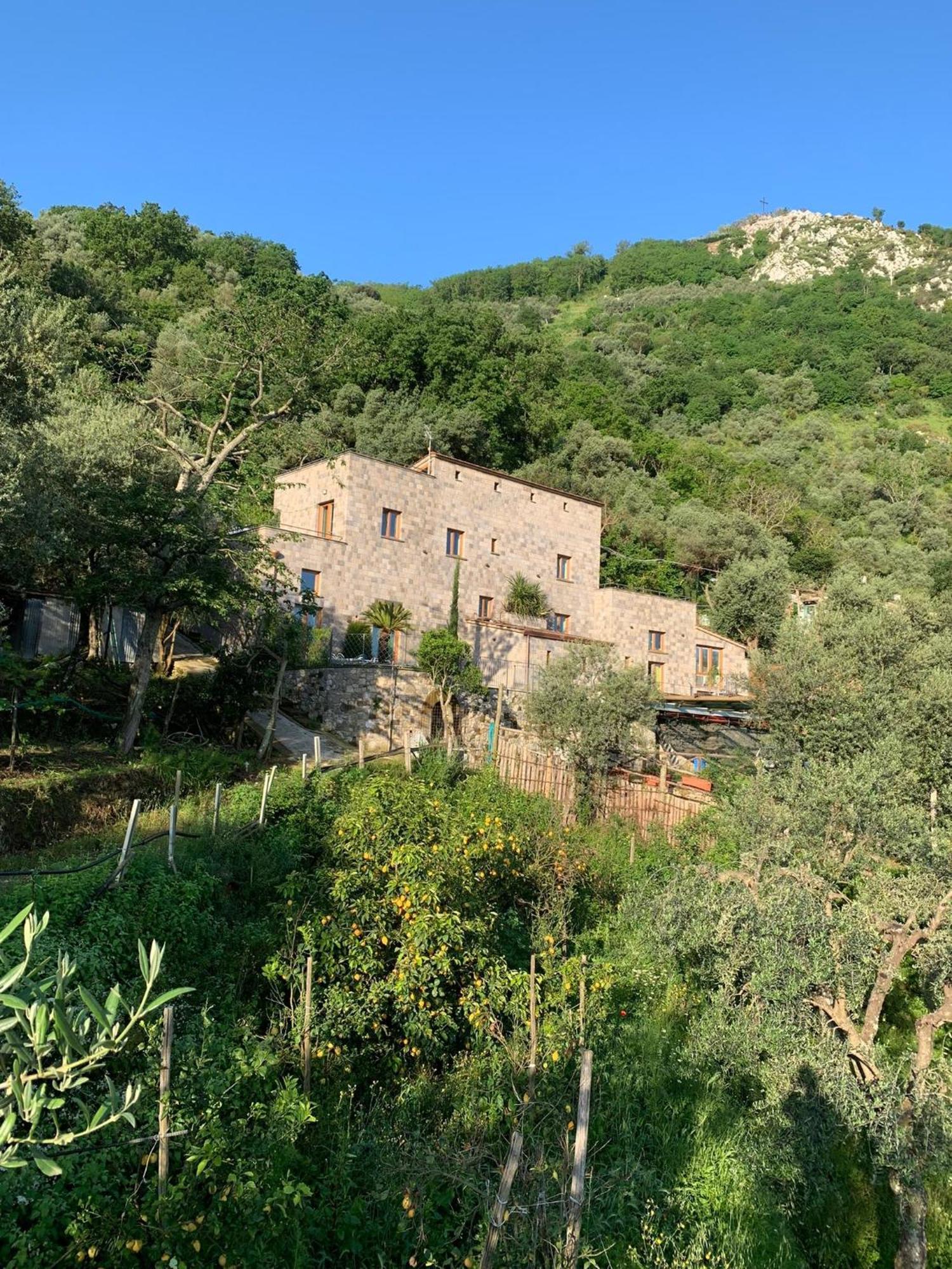 Holidays Homes The Dream Sant'Agnello Eksteriør bilde