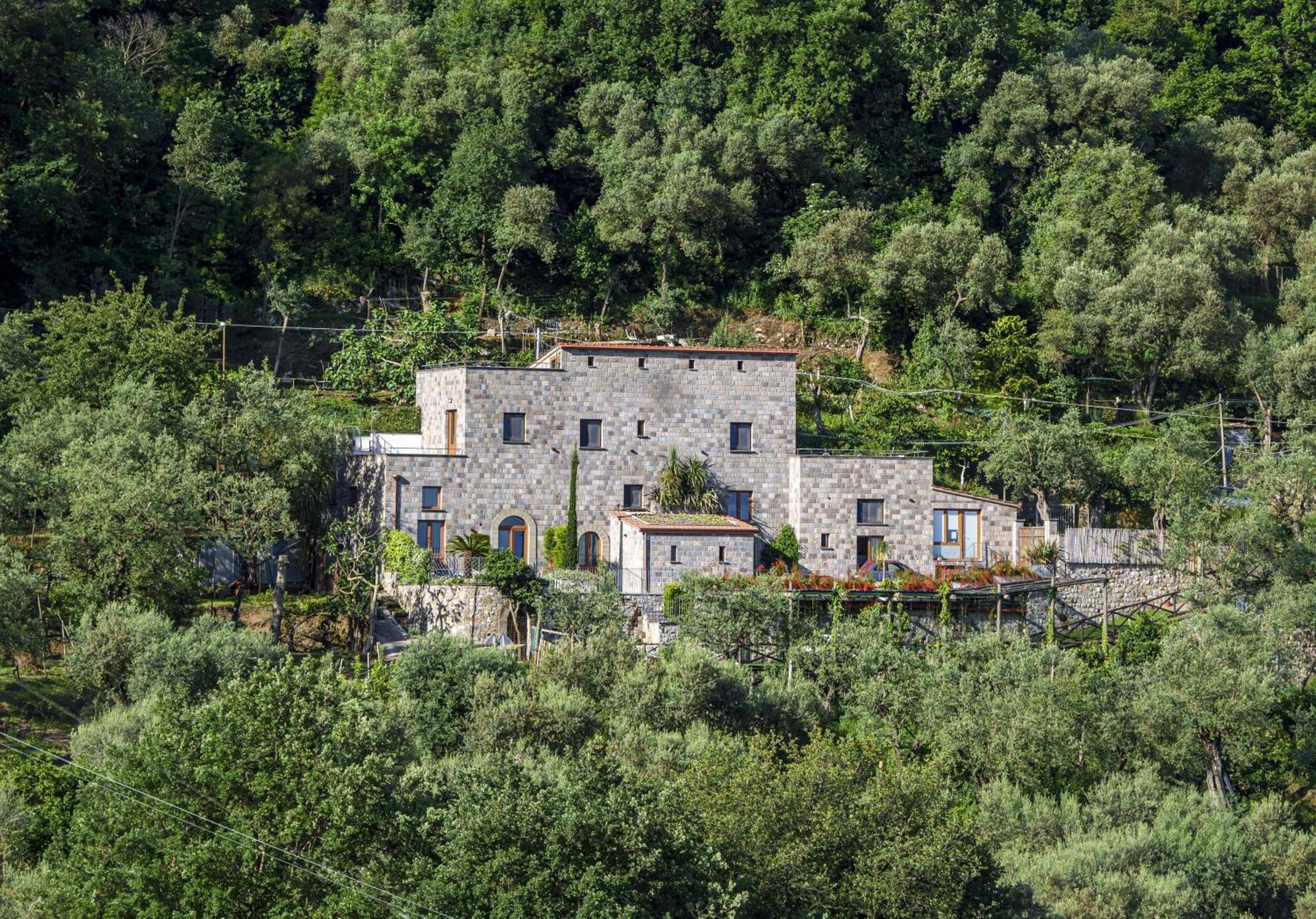 Holidays Homes The Dream Sant'Agnello Eksteriør bilde